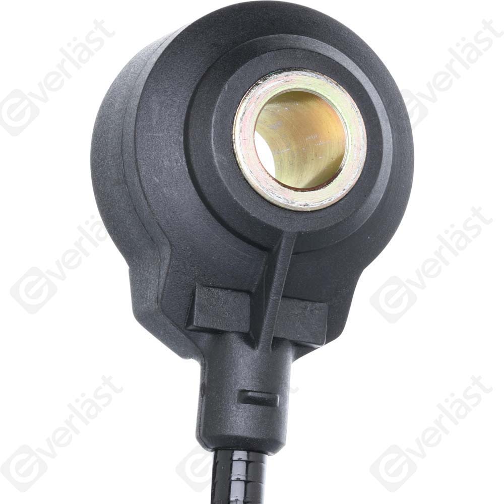 DETECTEUR CLIQUETIS EVERLAST - 3