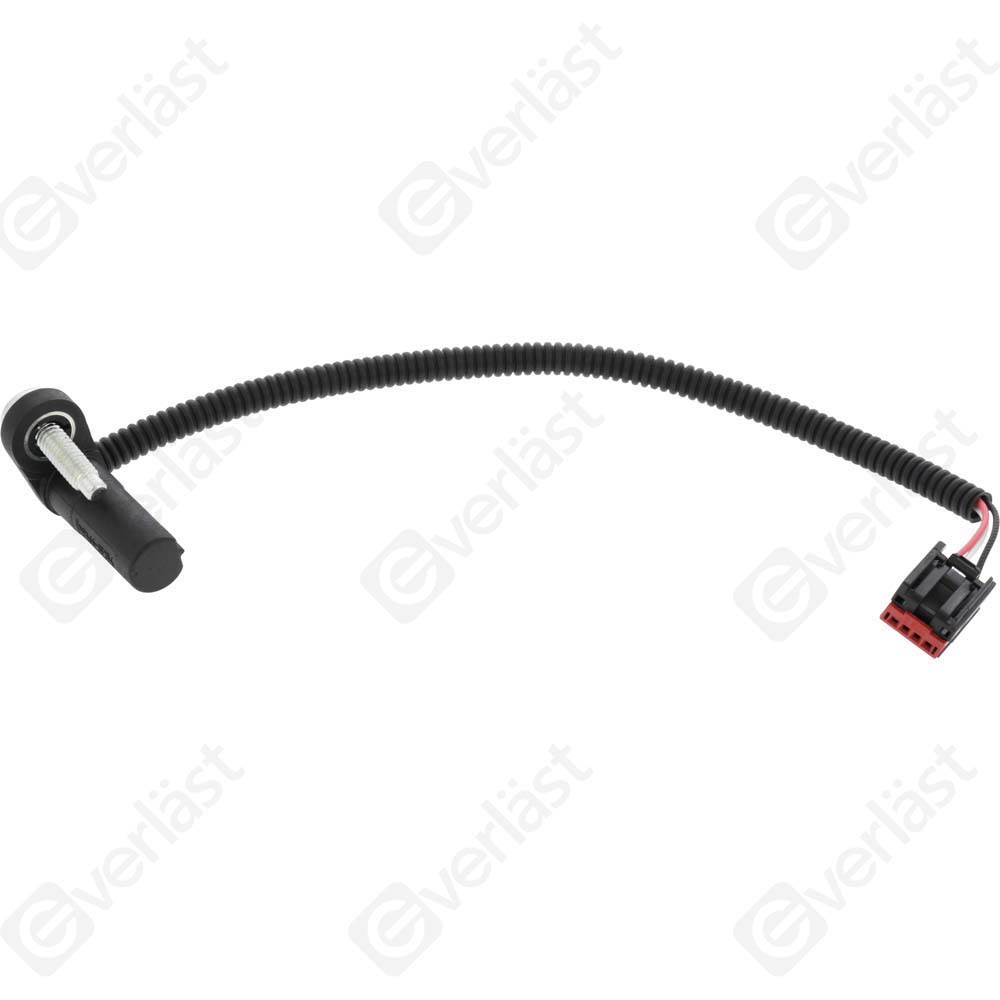 CAPTEUR DE VITESSE EVERLAST - 5