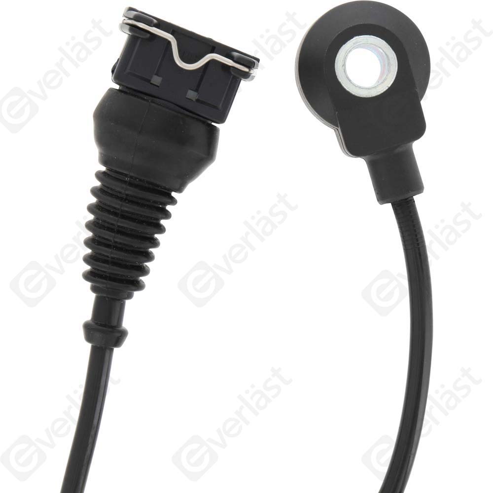 DETECTEUR CLIQUETIS EVERLAST - 3
