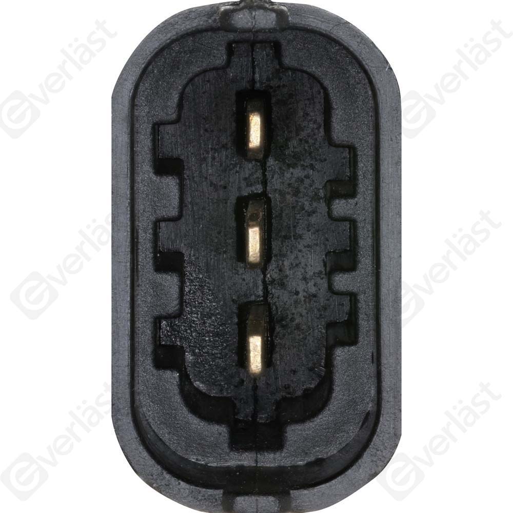 EVERLAST CRANK/CAM SENSOR - 3