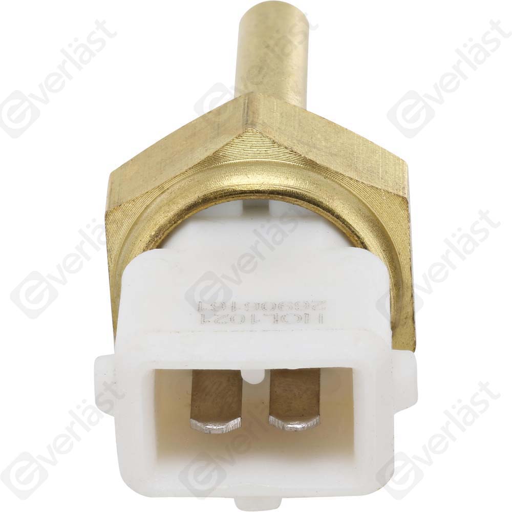 CAPTEURDE TEMPERATURE EVERLAST - 4