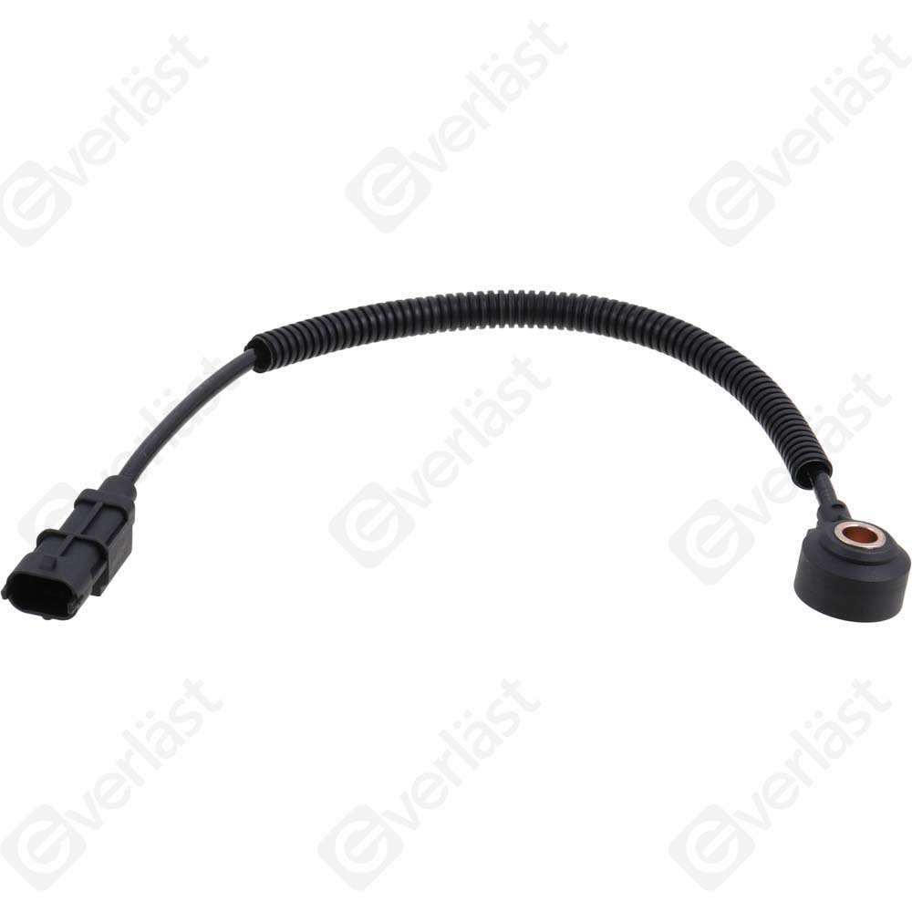 DETECTEUR CLIQUETIS EVERLAST - 4