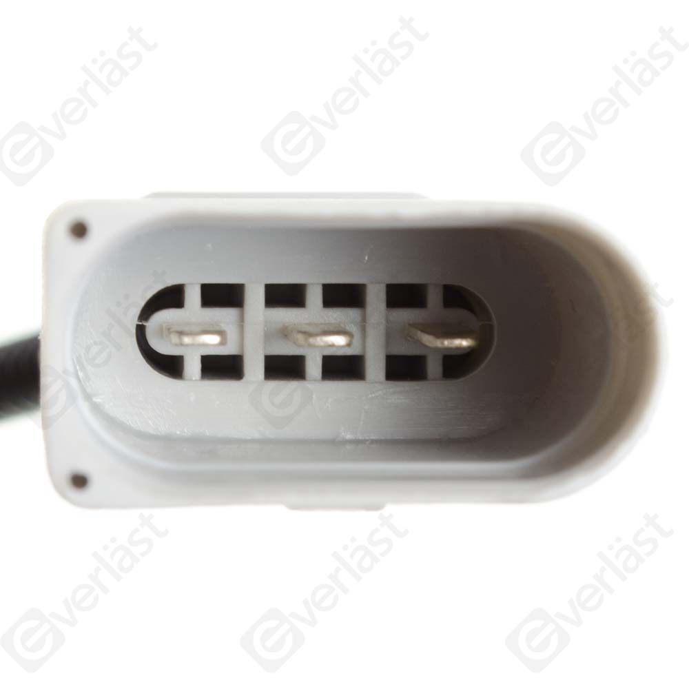EVERLAST CRANK/CAM SENSOR - 3