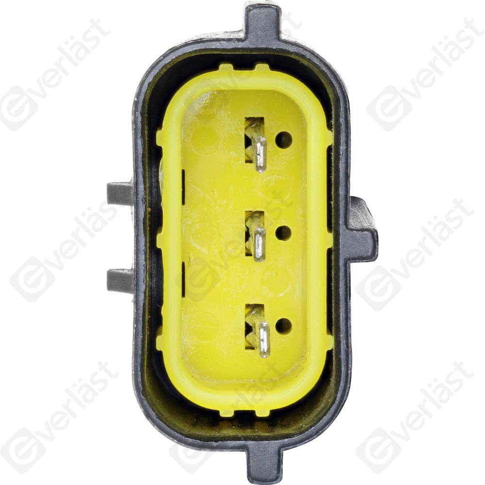 EVERLAST CRANK/CAM SENSOR - 4