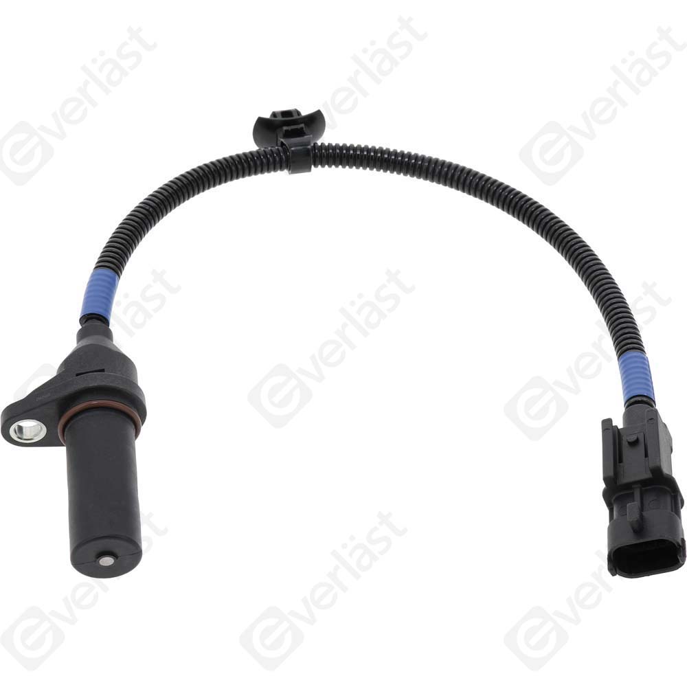 EVERLAST CRANK/CAM SENSOR - 3