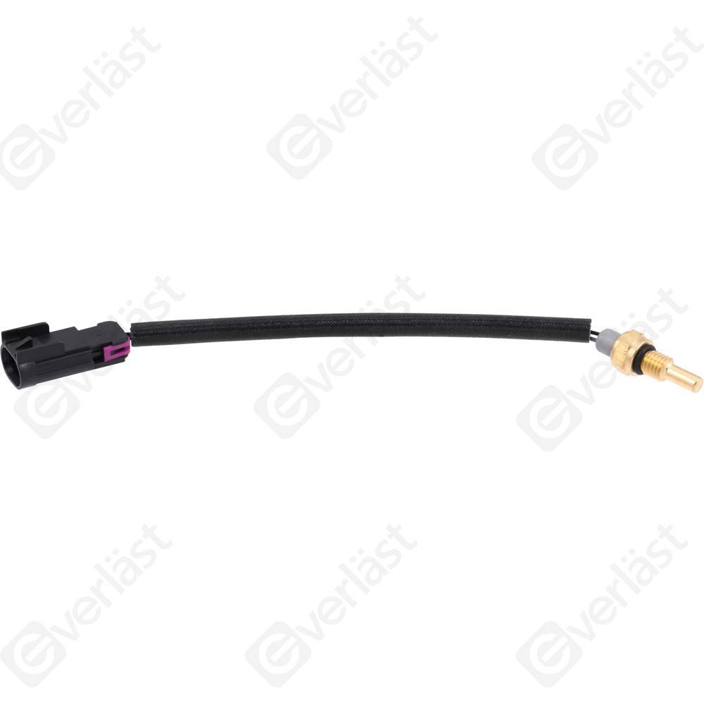 CAPTEURDE TEMPERATURE EVERLAST - 3