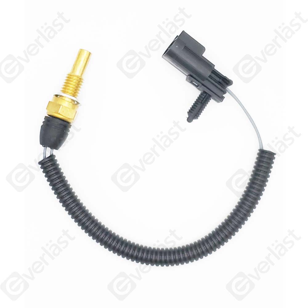 CAPTEURDE TEMPERATURE EVERLAST - 3