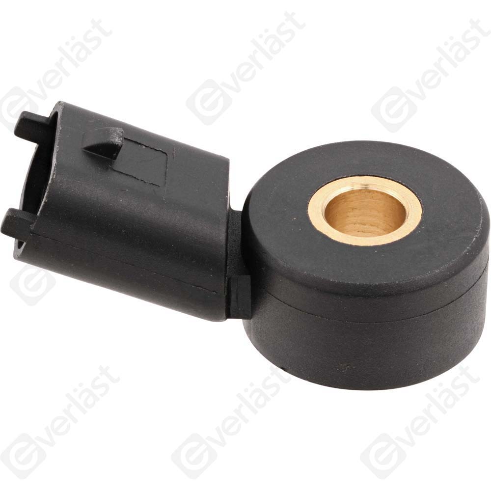 DETECTEUR CLIQUETIS EVERLAST - 3