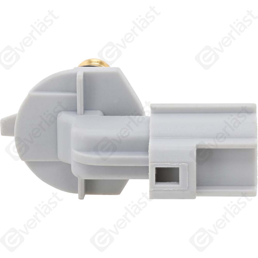 CAPTEURDE TEMPERATURE EVERLAST - 3