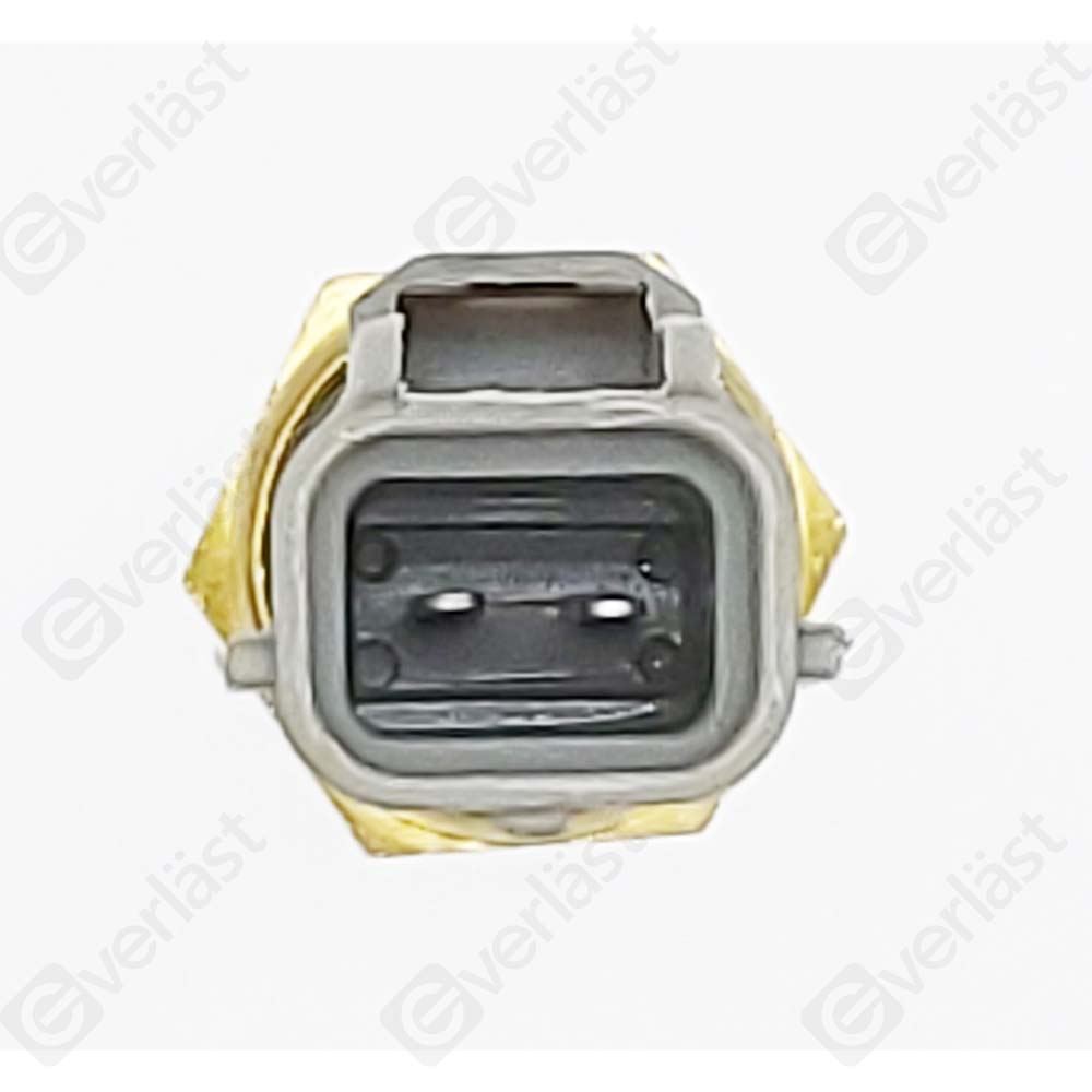 CAPTEURDE TEMPERATURE EVERLAST - 2