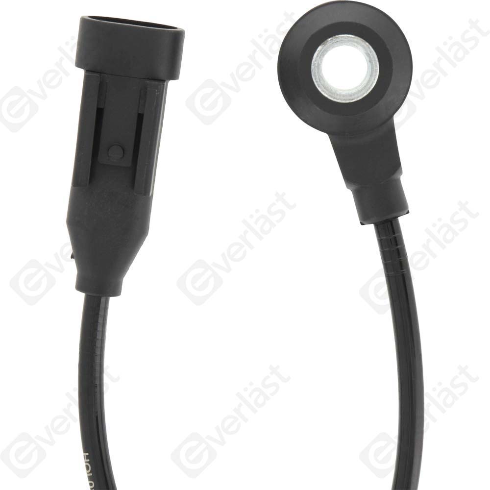 DETECTEUR CLIQUETIS EVERLAST - 3