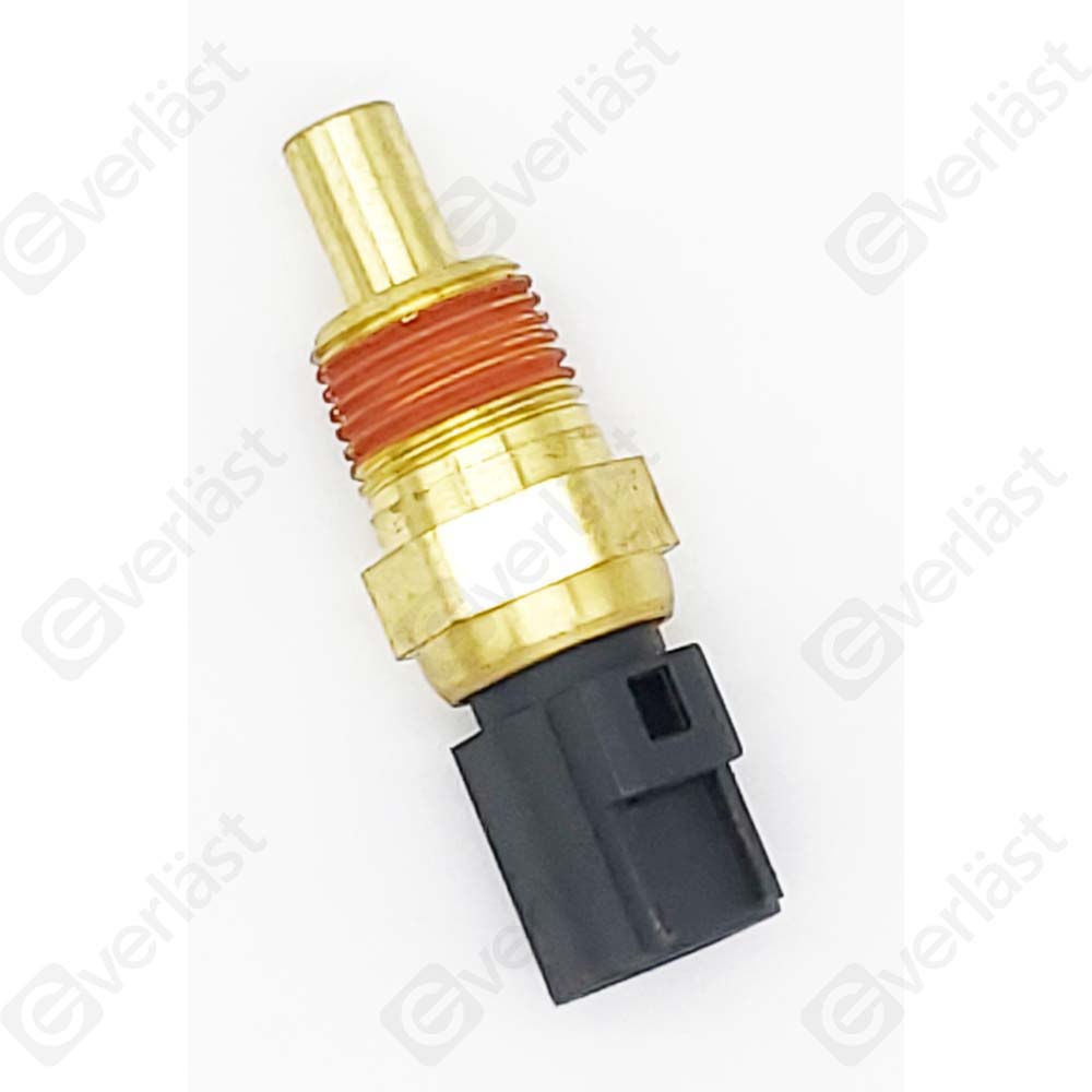 CAPTEURDE TEMPERATURE EVERLAST - 2