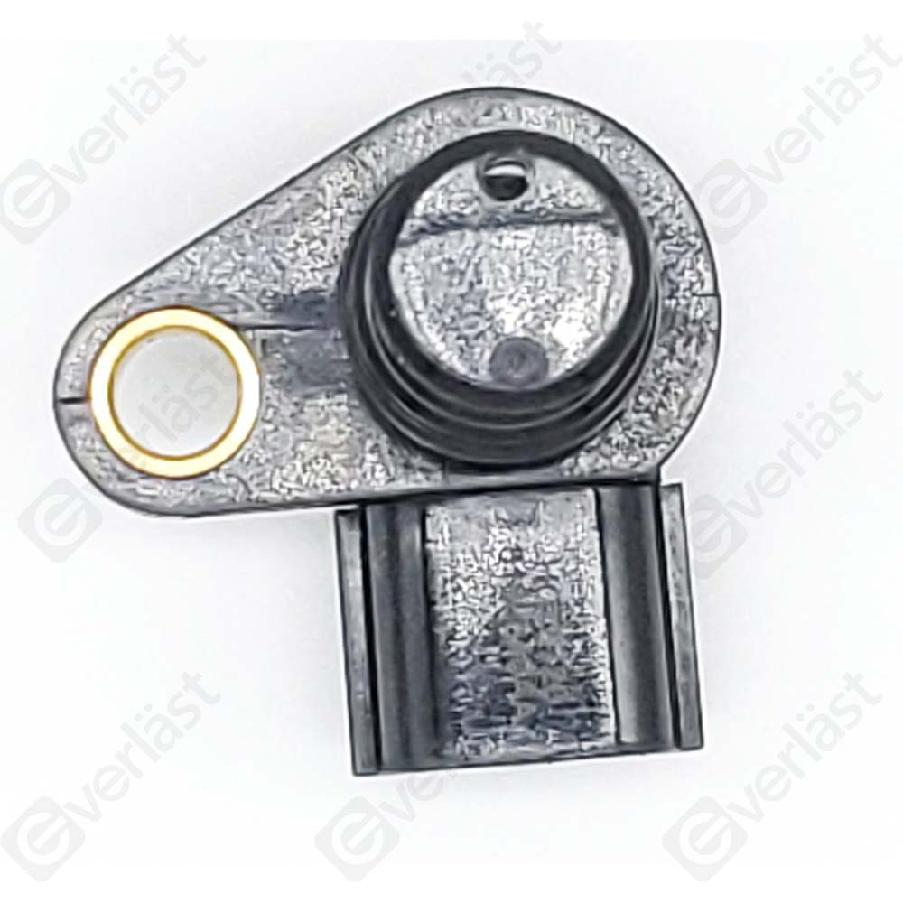 CAPTEUR DE VITESSE EVERLAST - 2