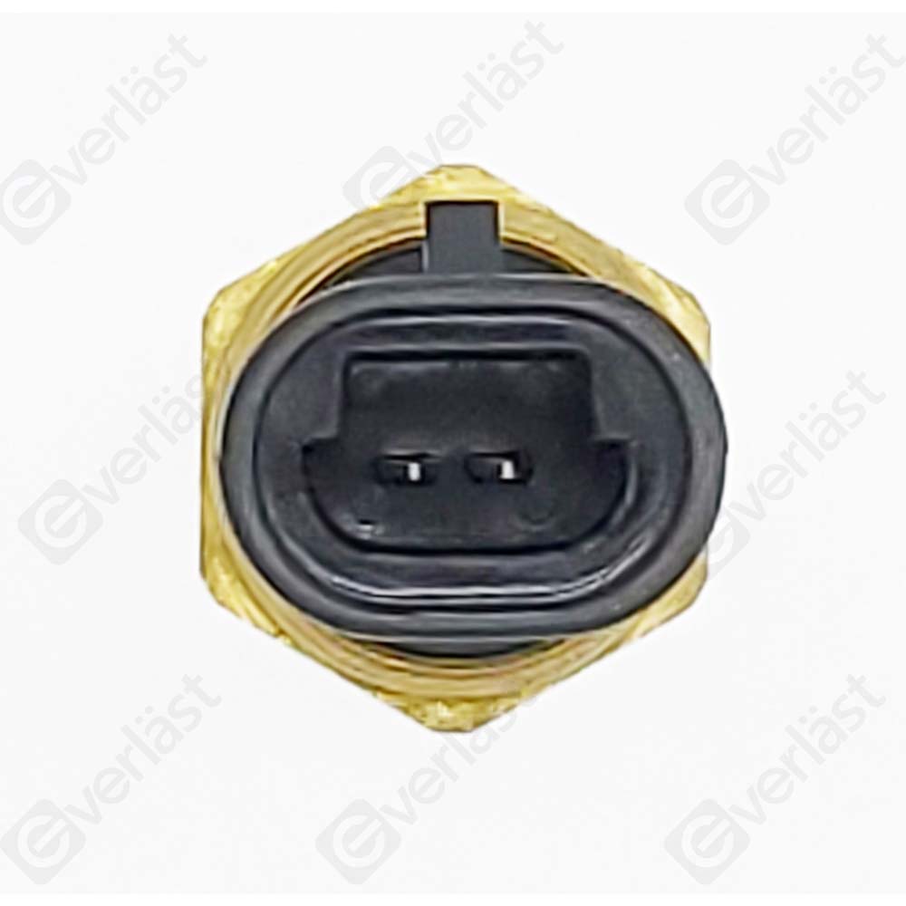 CAPTEURDE TEMPERATURE EVERLAST - 4