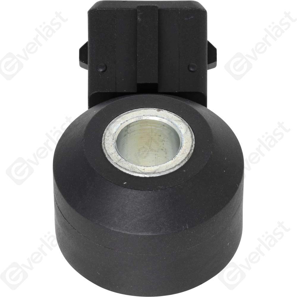 DETECTEUR CLIQUETIS EVERLAST - 5