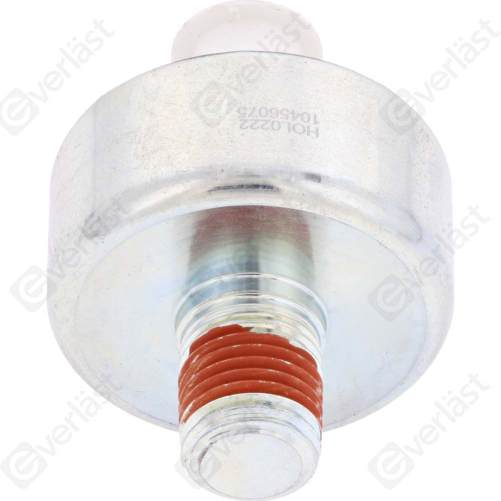 DETECTEUR CLIQUETIS EVERLAST - 4