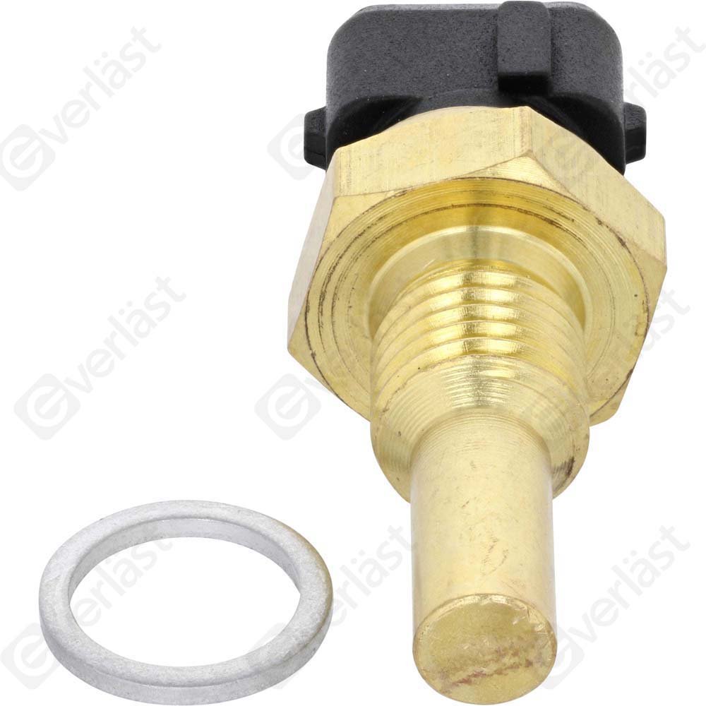 CAPTEURDE TEMPERATURE EVERLAST - 3