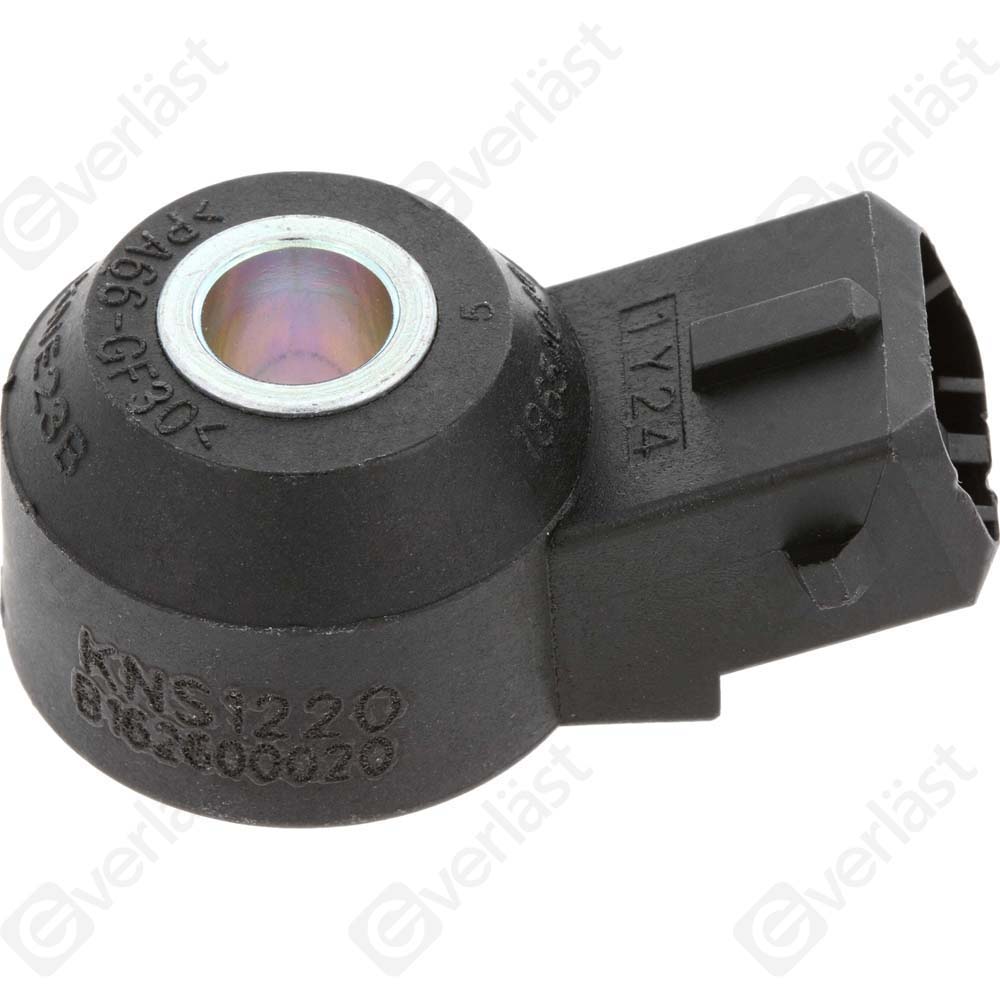 DETECTEUR CLIQUETIS EVERLAST - 2