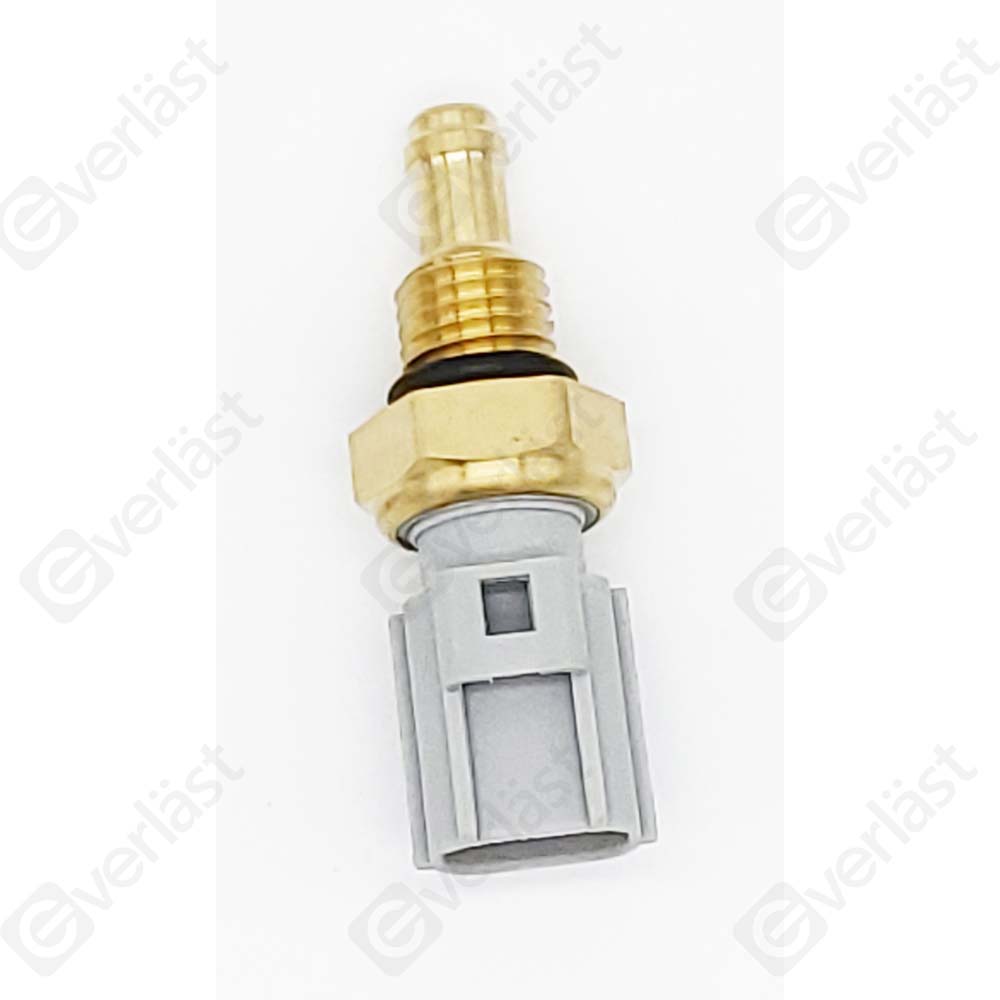 CAPTEURDE TEMPERATURE EVERLAST