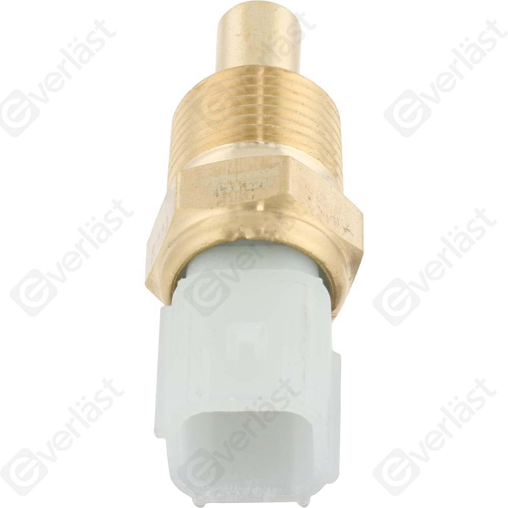 CAPTEURDE TEMPERATURE EVERLAST - 4