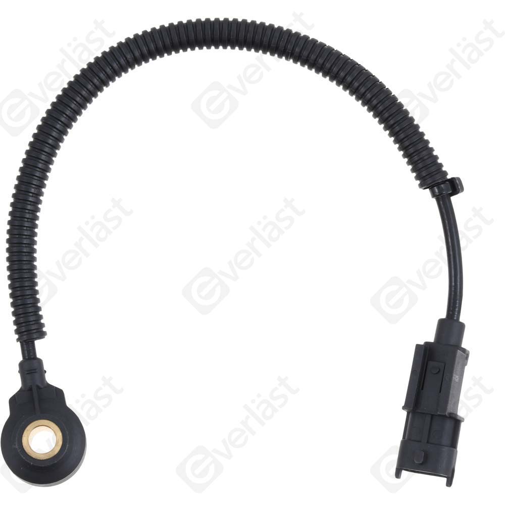 DETECTEUR CLIQUETIS EVERLAST - 2