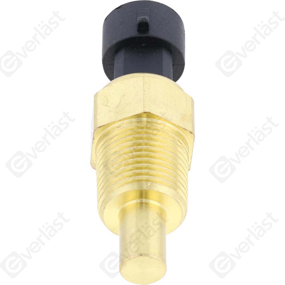 CAPTEURDE TEMPERATURE EVERLAST - 3