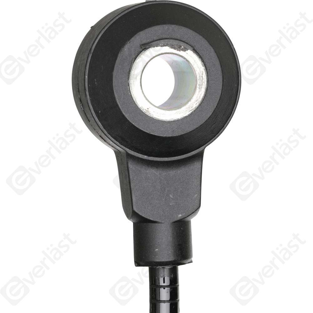 DETECTEUR CLIQUETIS EVERLAST - 4