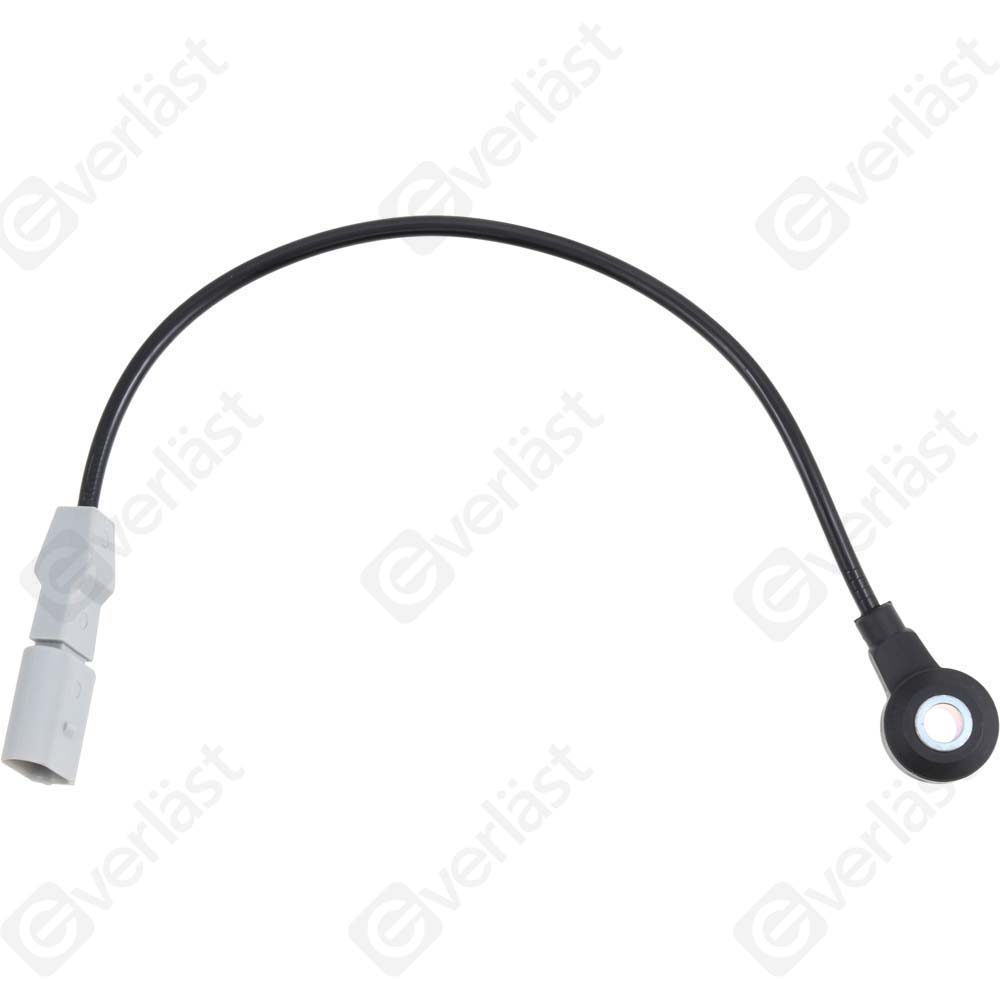 DETECTEUR CLIQUETIS EVERLAST - 3