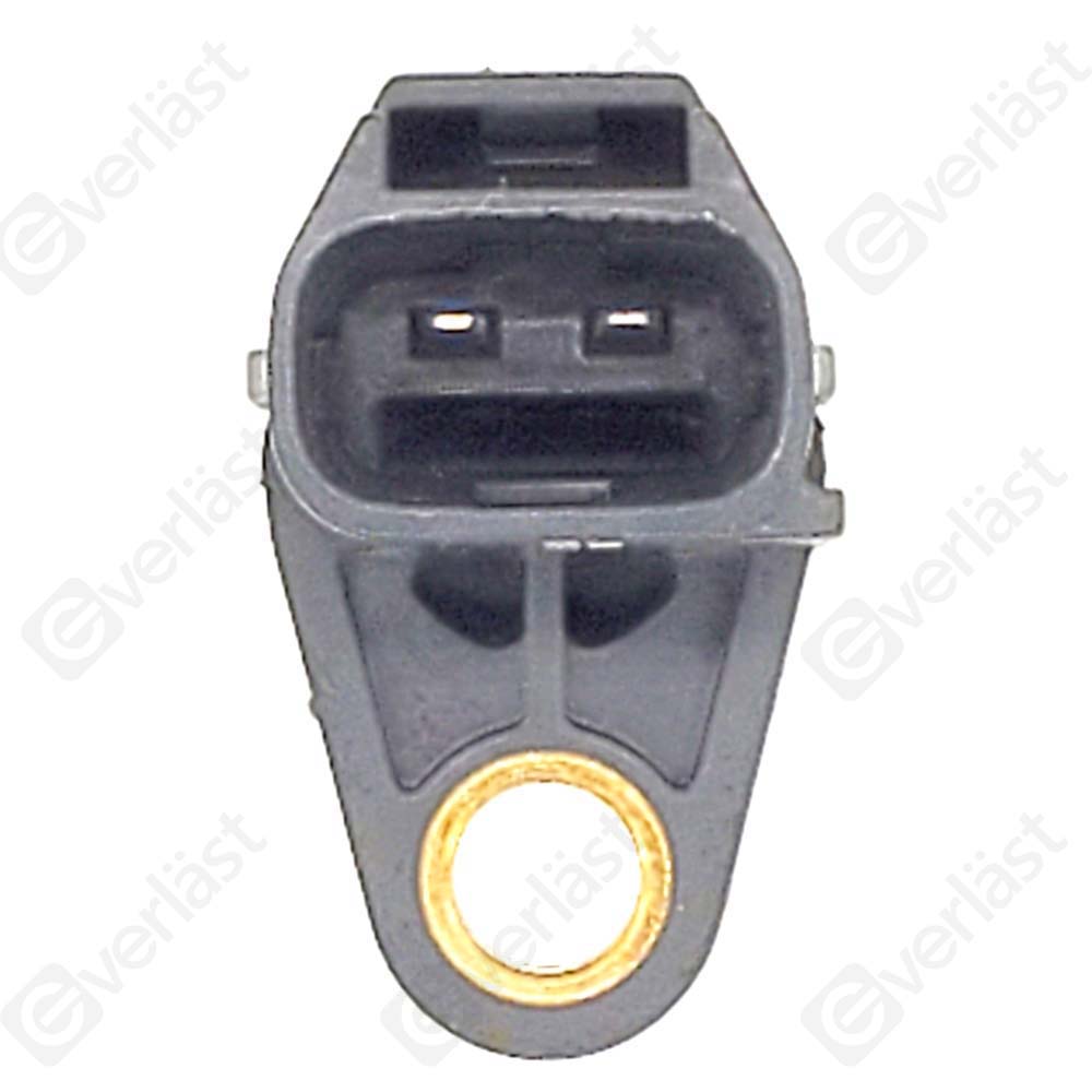 EVERLAST CRANK/CAM SENSOR - 3