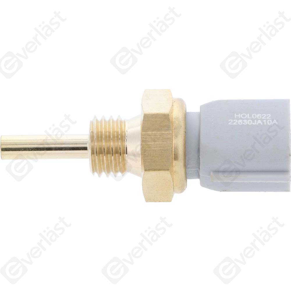 CAPTEURDE TEMPERATURE EVERLAST - 5