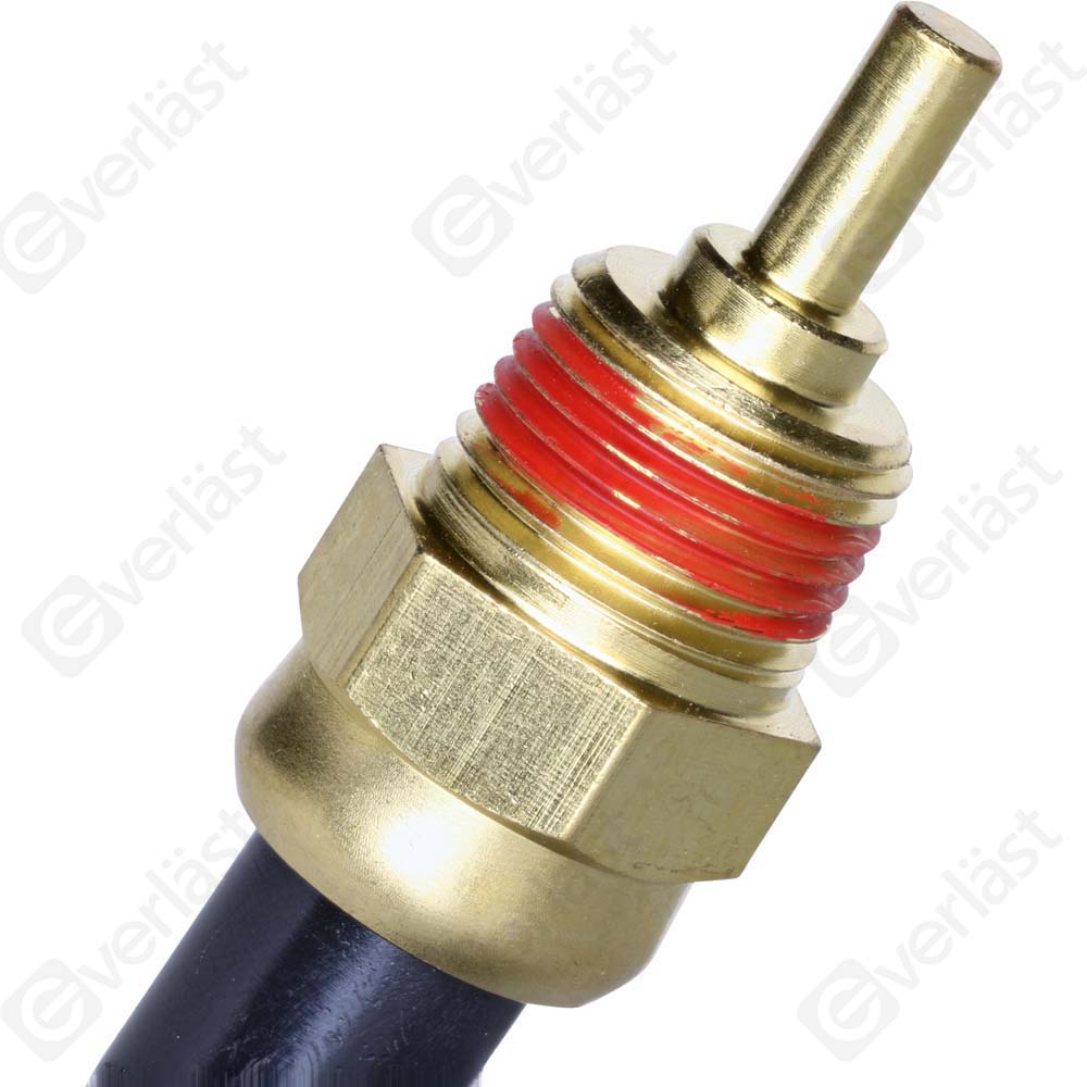 CAPTEURDE TEMPERATURE EVERLAST - 5
