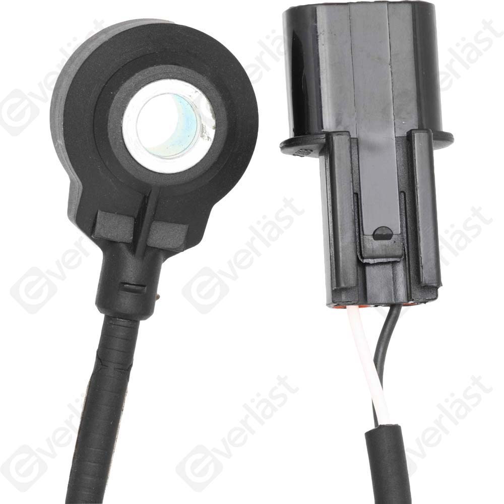 DETECTEUR CLIQUETIS EVERLAST - 5