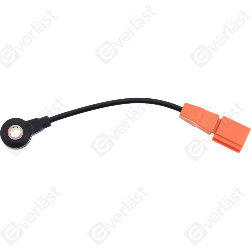 DETECTEUR CLIQUETIS EVERLAST - 5