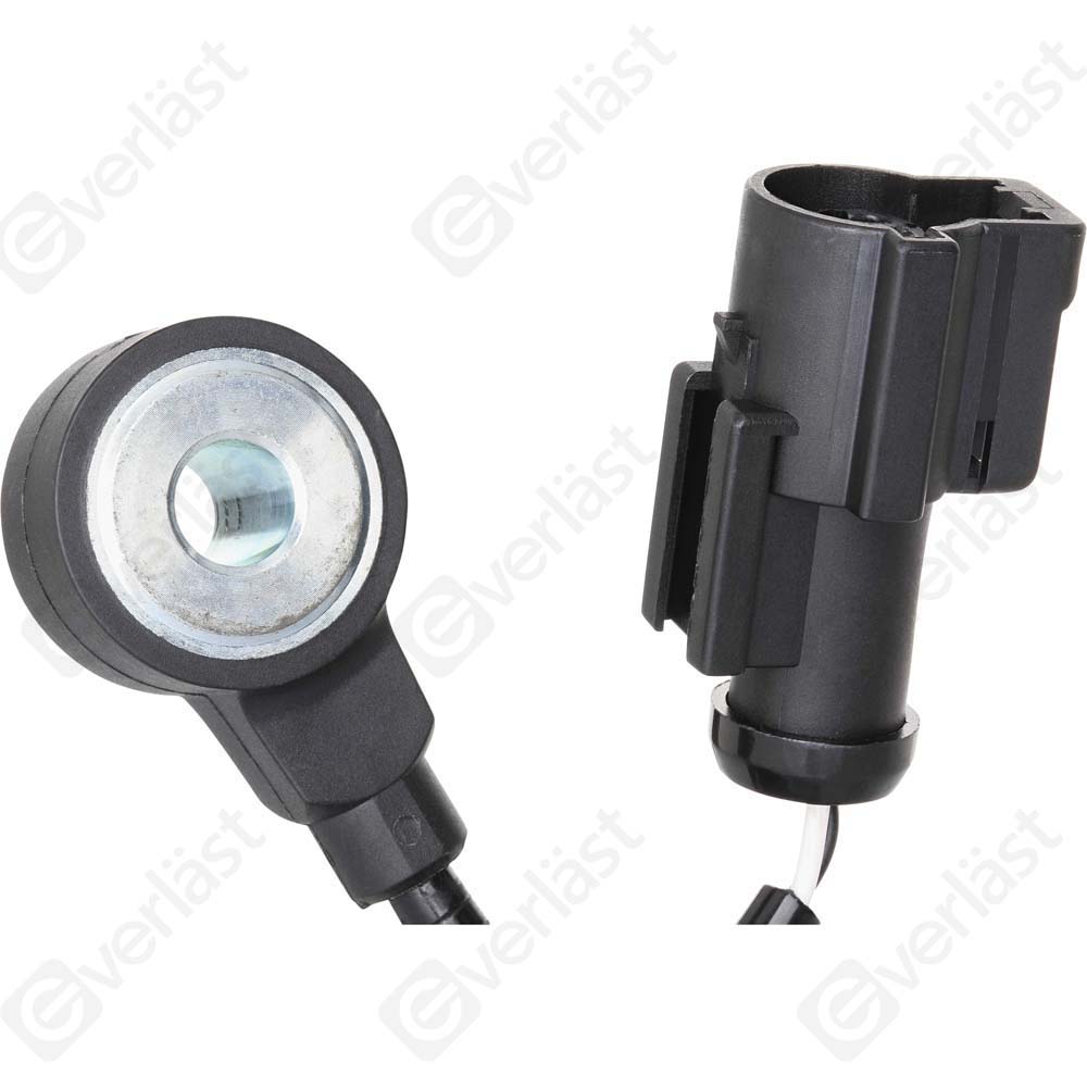 DETECTEUR CLIQUETIS EVERLAST - 5