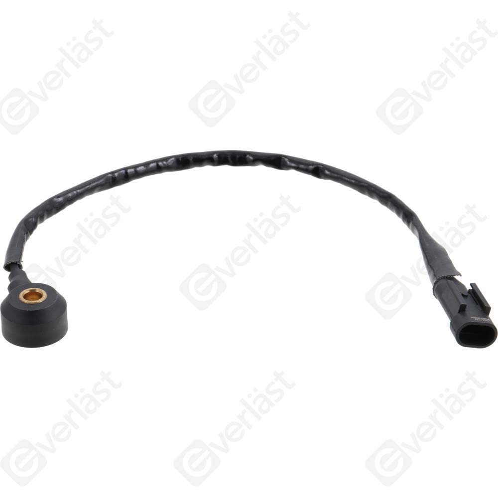DETECTEUR CLIQUETIS EVERLAST - 3