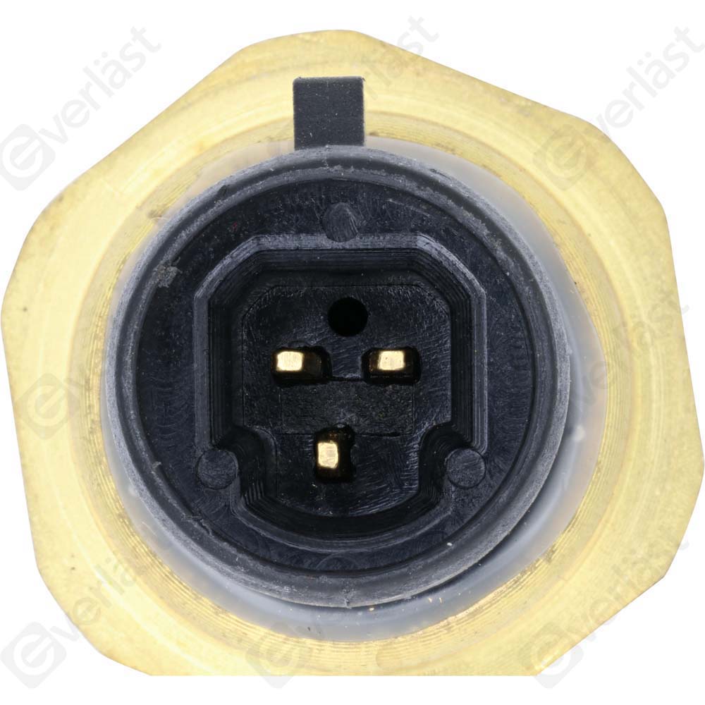 EVERLAST MANIFOLD SENSOR - 4