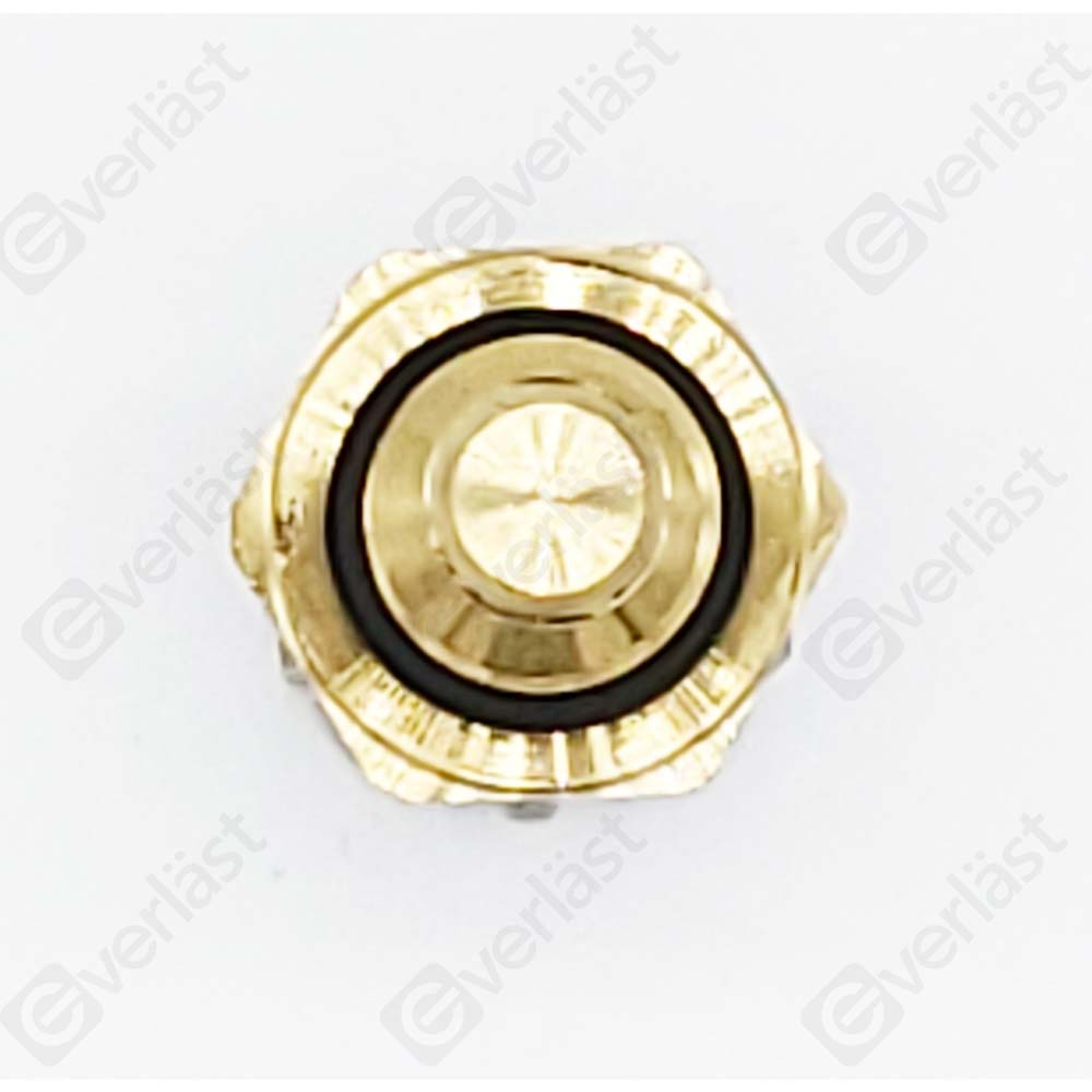 CAPTEURDE TEMPERATURE EVERLAST - 2