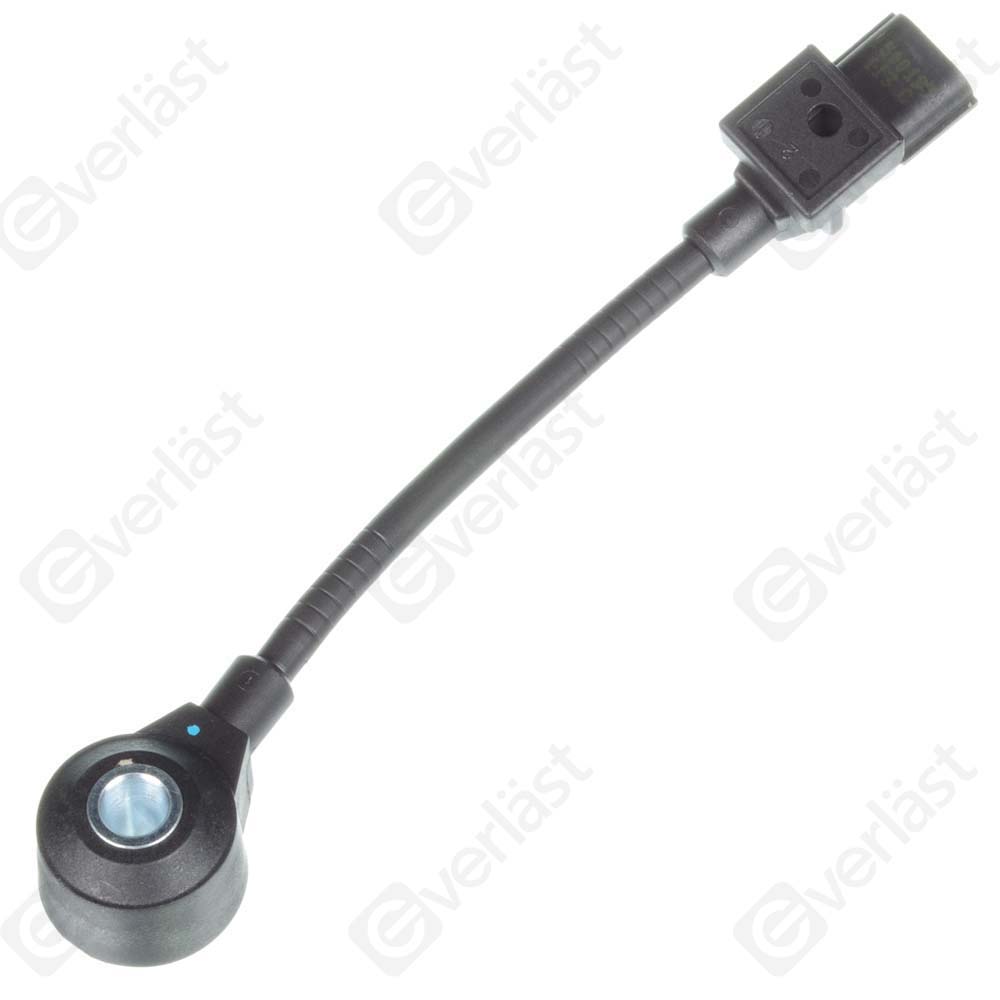 DETECTEUR CLIQUETIS EVERLAST - 2