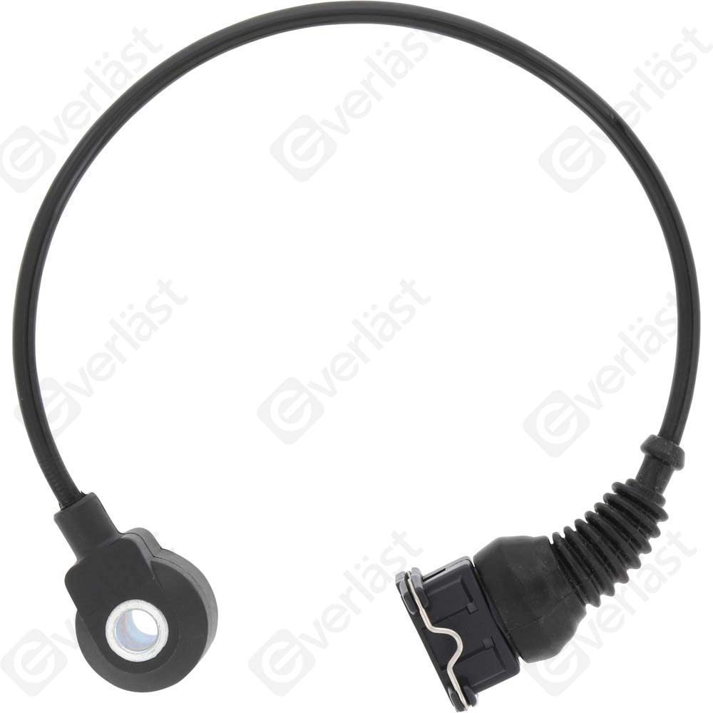 DETECTEUR CLIQUETIS EVERLAST - 5