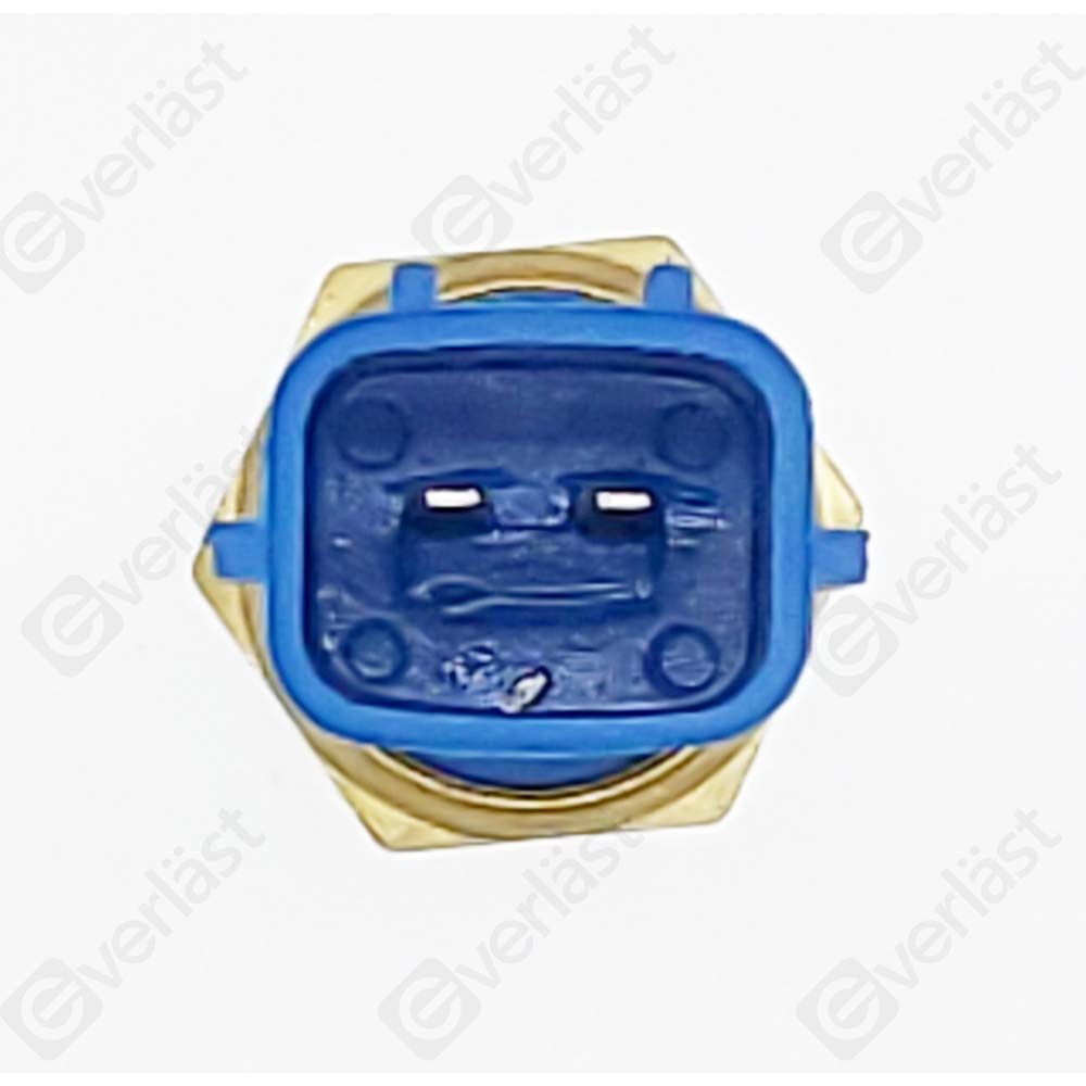 CAPTEURDE TEMPERATURE EVERLAST - 3