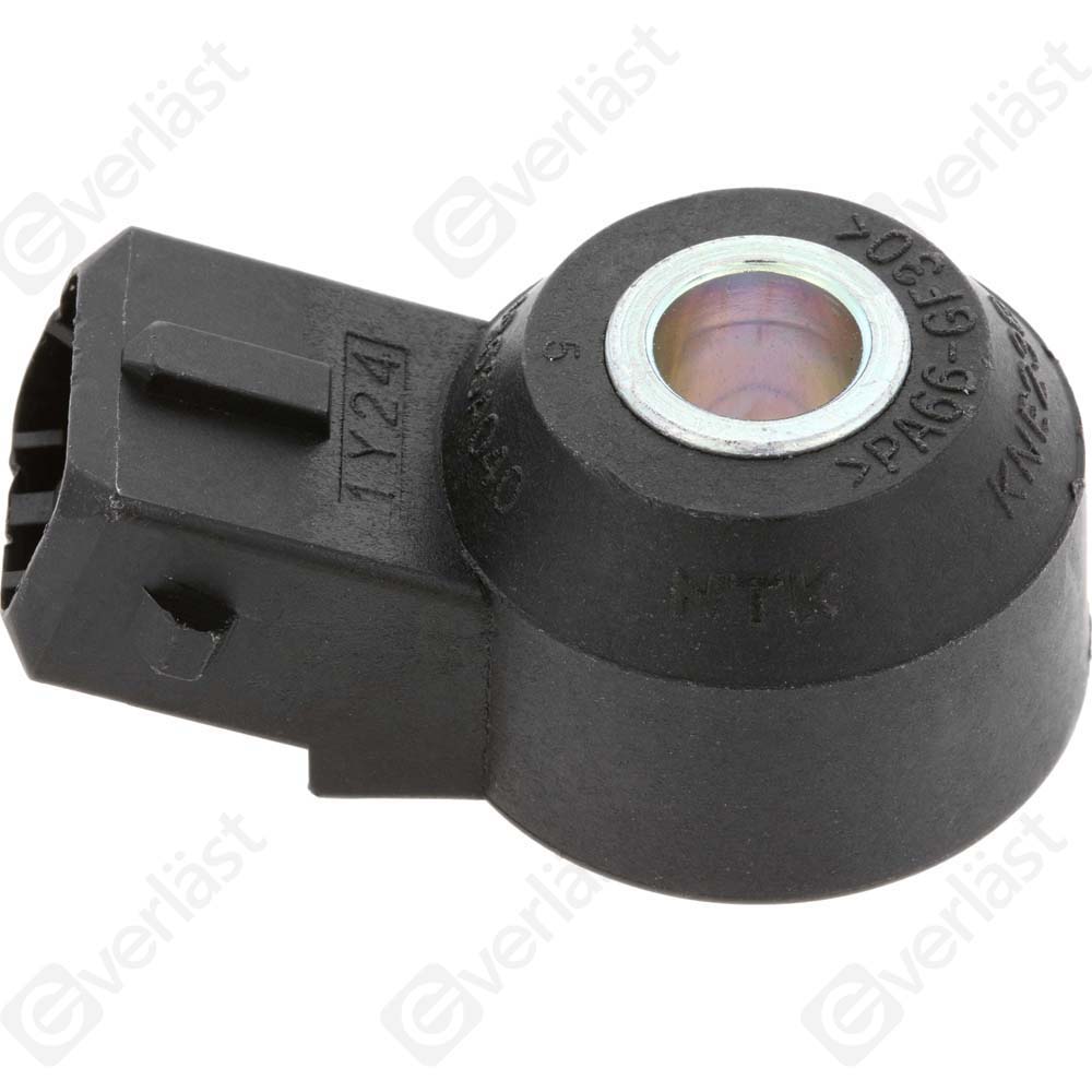 DETECTEUR CLIQUETIS EVERLAST - 3