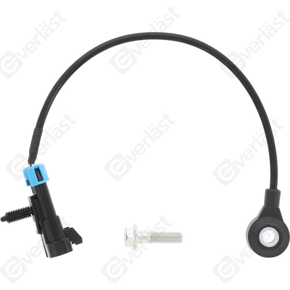 DETECTEUR CLIQUETIS EVERLAST - 5