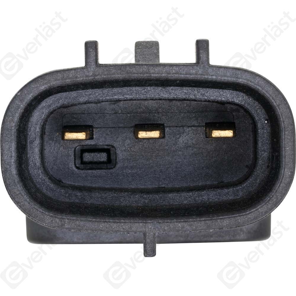 EVERLAST MANIFOLD SENSOR - 4