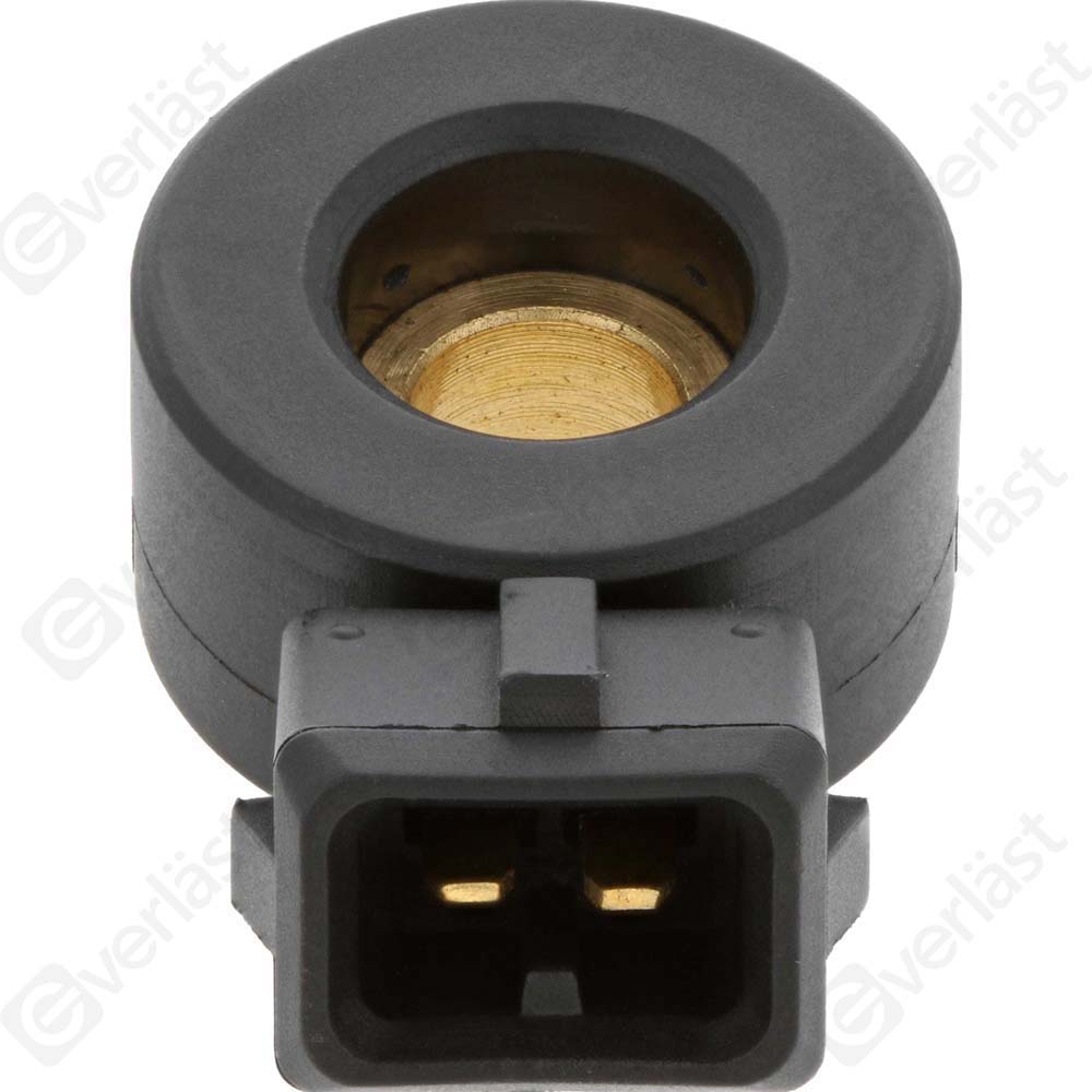 DETECTEUR CLIQUETIS EVERLAST - 5