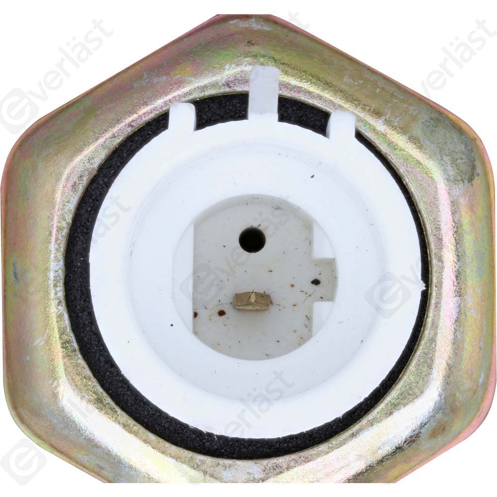 EVERLAST KNOCK SENSOR - 4