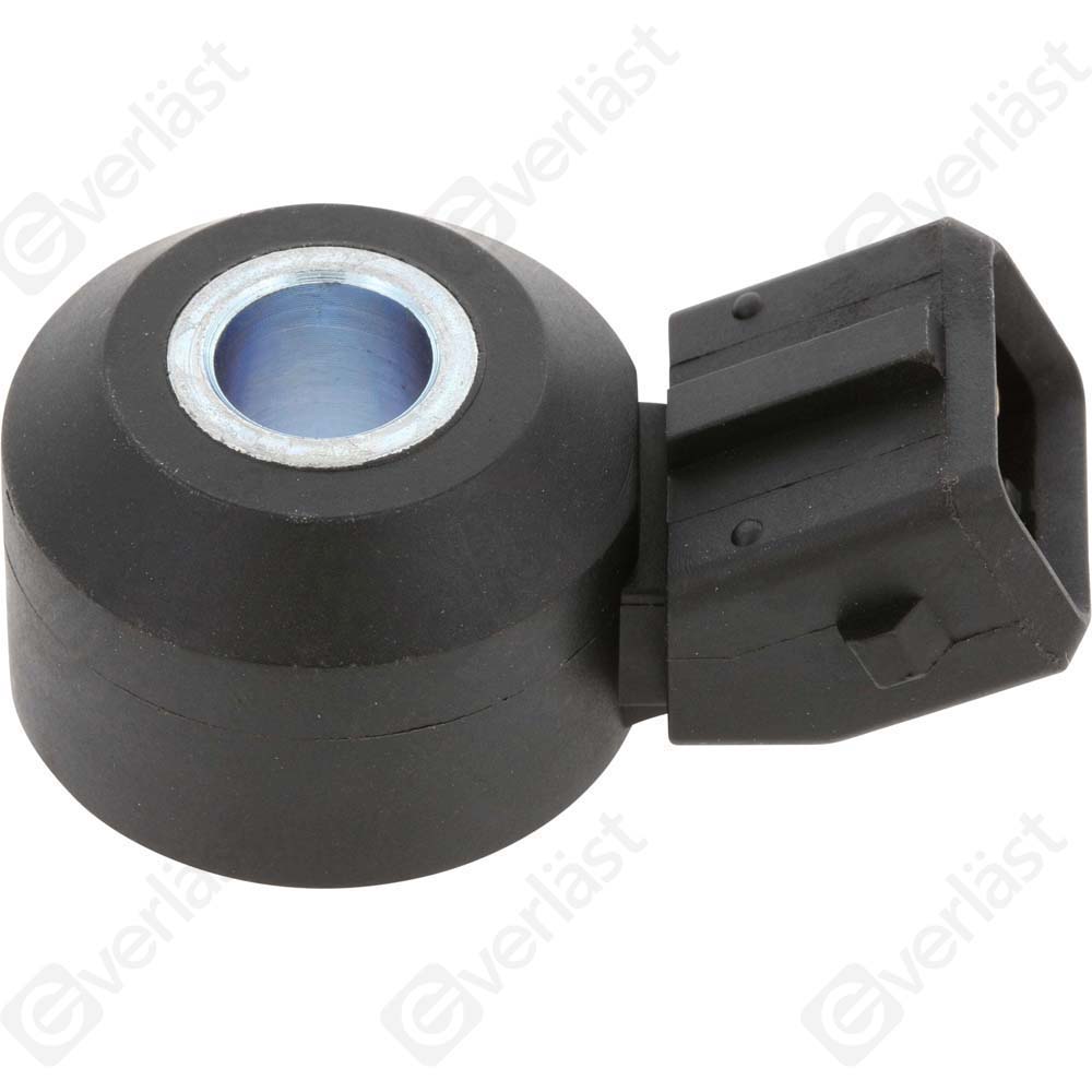 DETECTEUR CLIQUETIS EVERLAST - 5