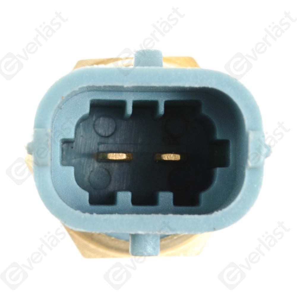 CAPTEURDE TEMPERATURE EVERLAST - 3