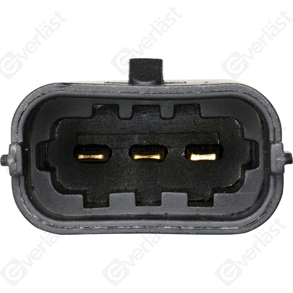 EVERLAST MANIFOLD SENSOR - 4