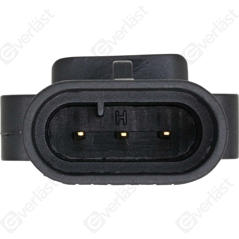 EVERLAST MANIFOLD SENSOR - 4