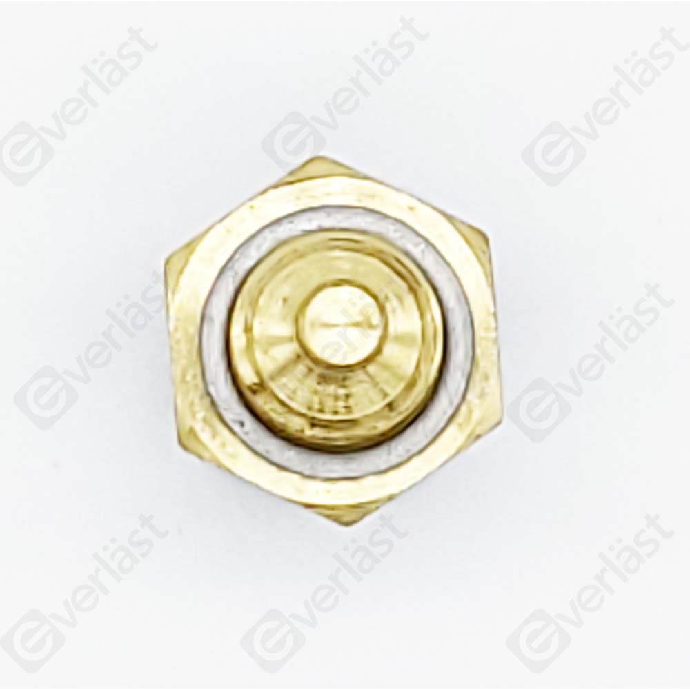 CAPTEURDE TEMPERATURE EVERLAST - 4